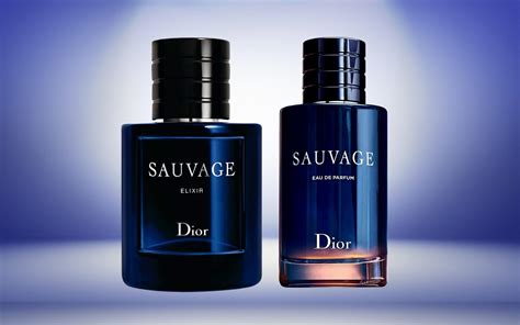 saivage dior elixir|dior sauvage elixir vs dior sauvage.